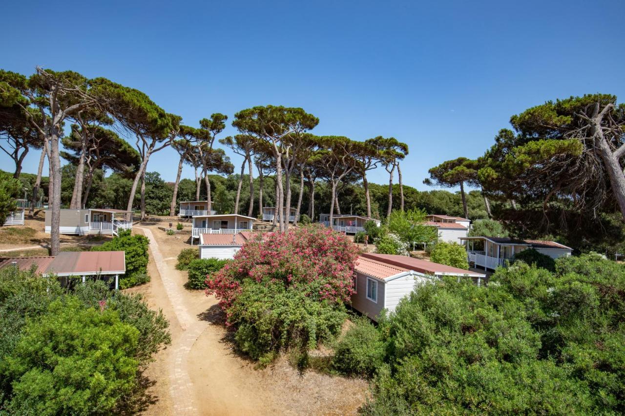 Parco Della Gallinara Lido dei Pini Eksteriør billede